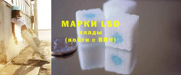 шишки Елабуга