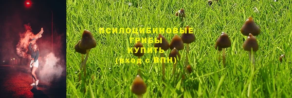 а пвп мука Елизово