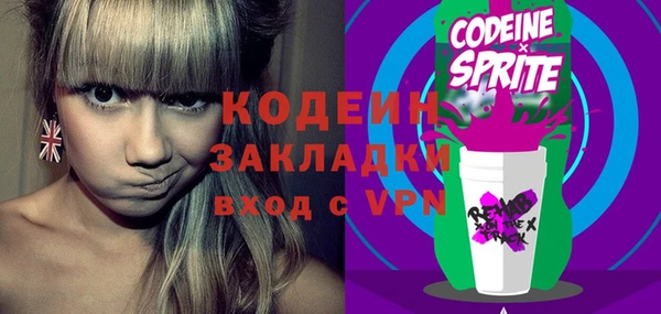 шишки Елабуга