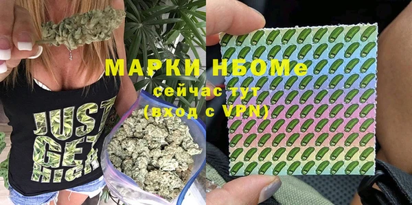 шишки Елабуга